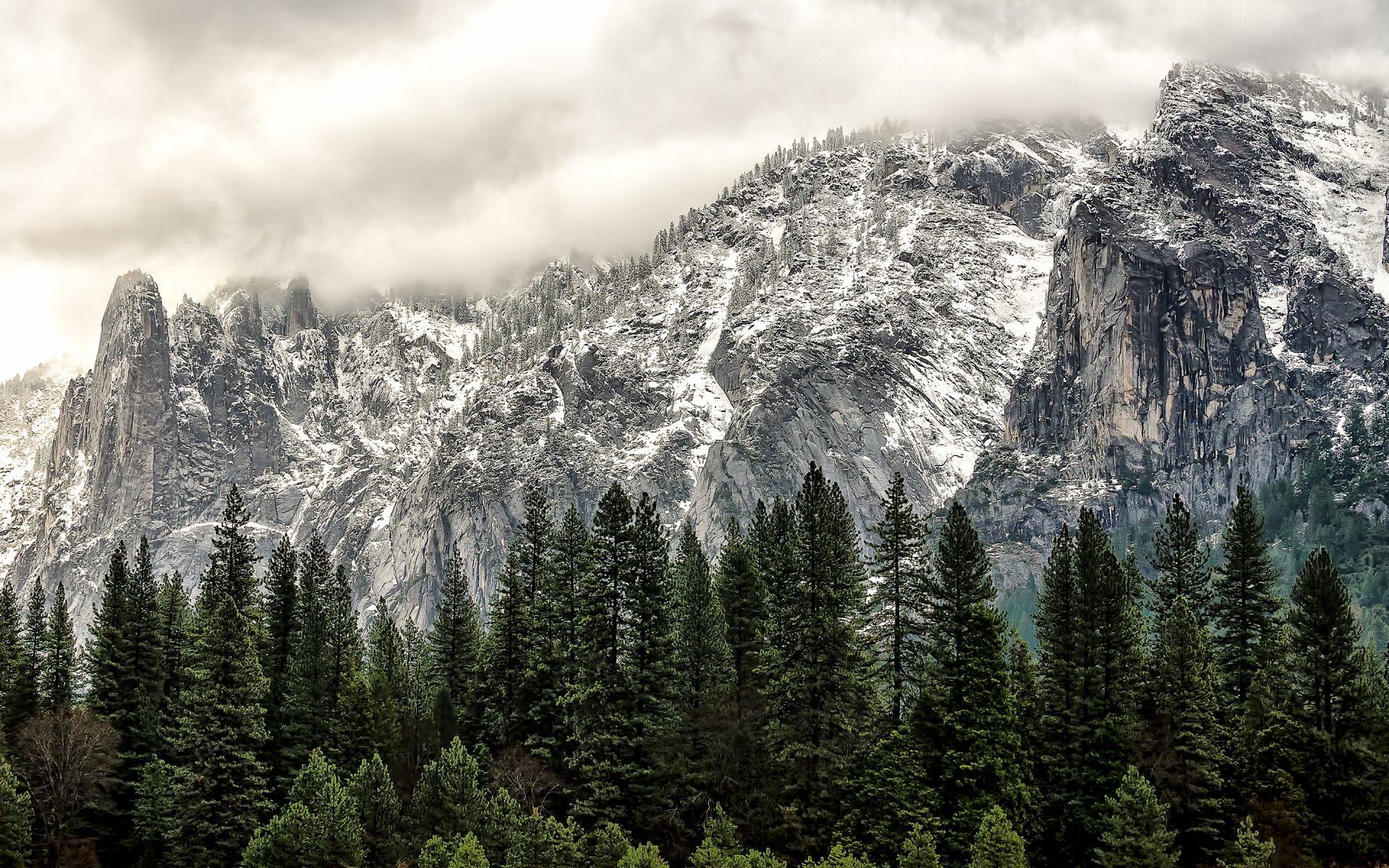 usa kalifornien yosemite national park kalifornien wald berge winter