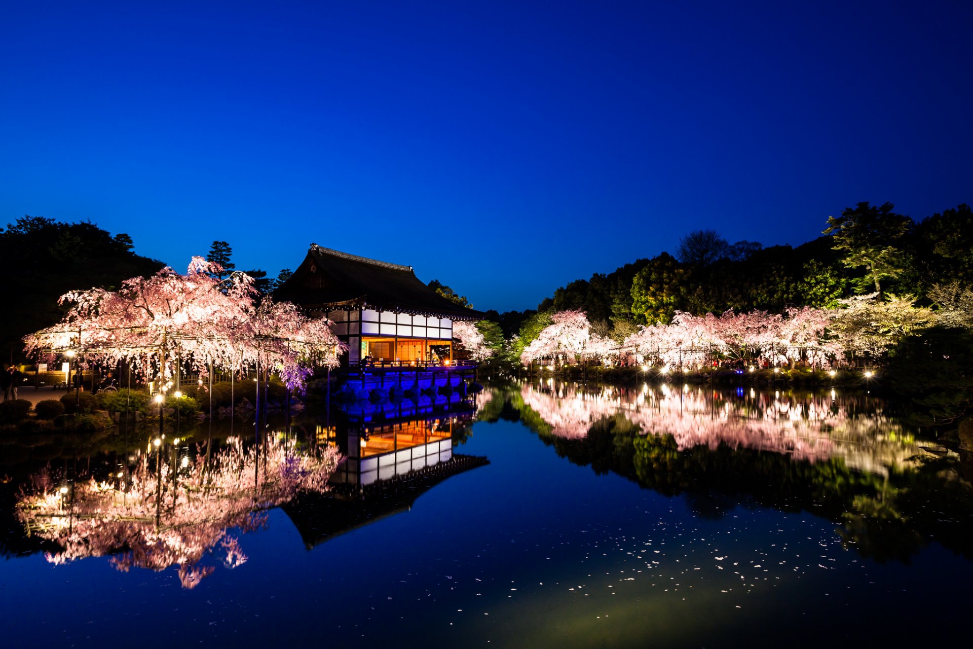 heian temple kyoto japon paysage nature jardins arbres sakura eau réflexion soirée