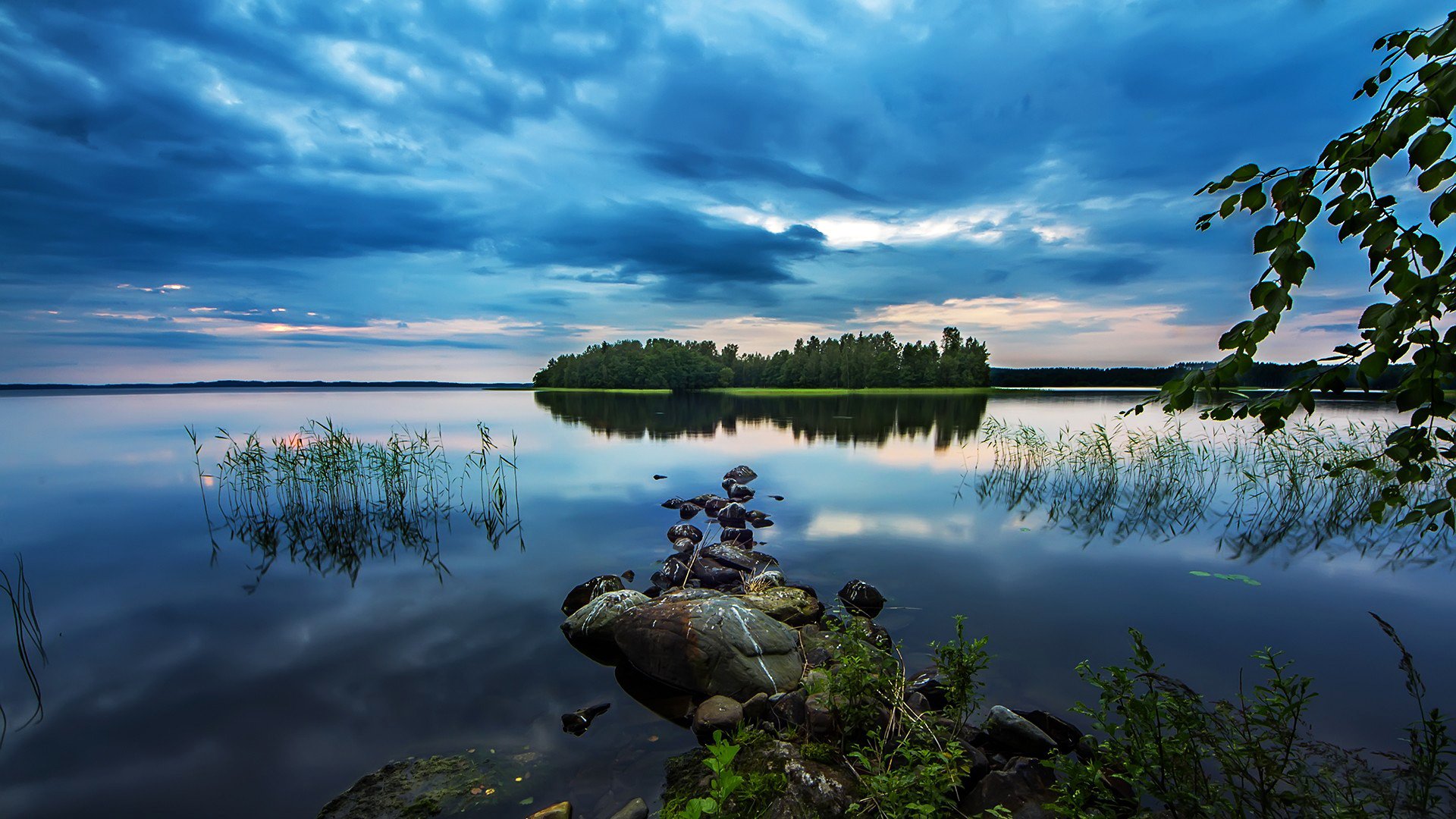 lago isla bosque árboles piedras superficie reflexión juncos horizonte cielo nubes