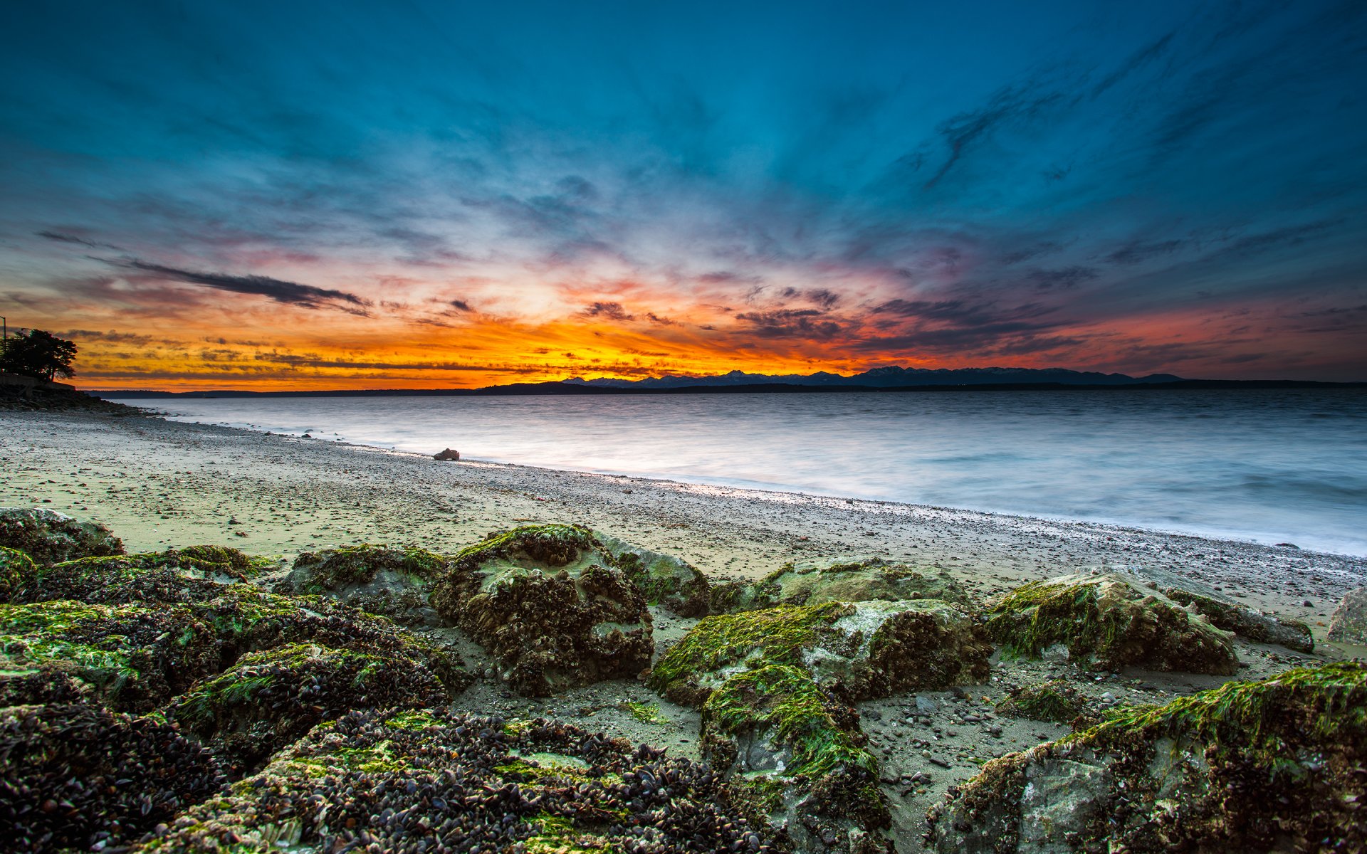 usa washington seattle beach shore rocks moss sea bay evening sunset sky clouds cloud