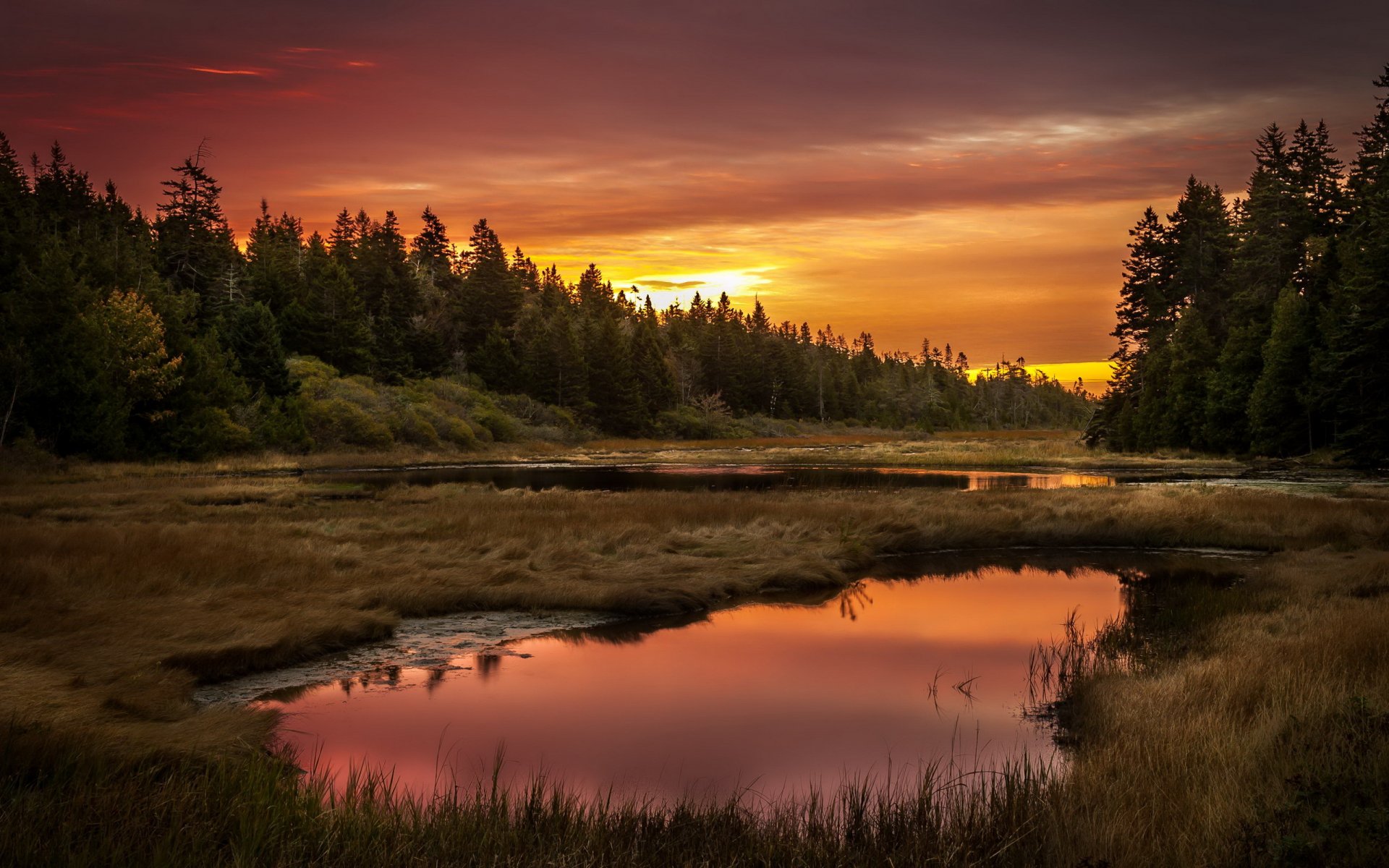 coucher de soleil lac forêt paysage