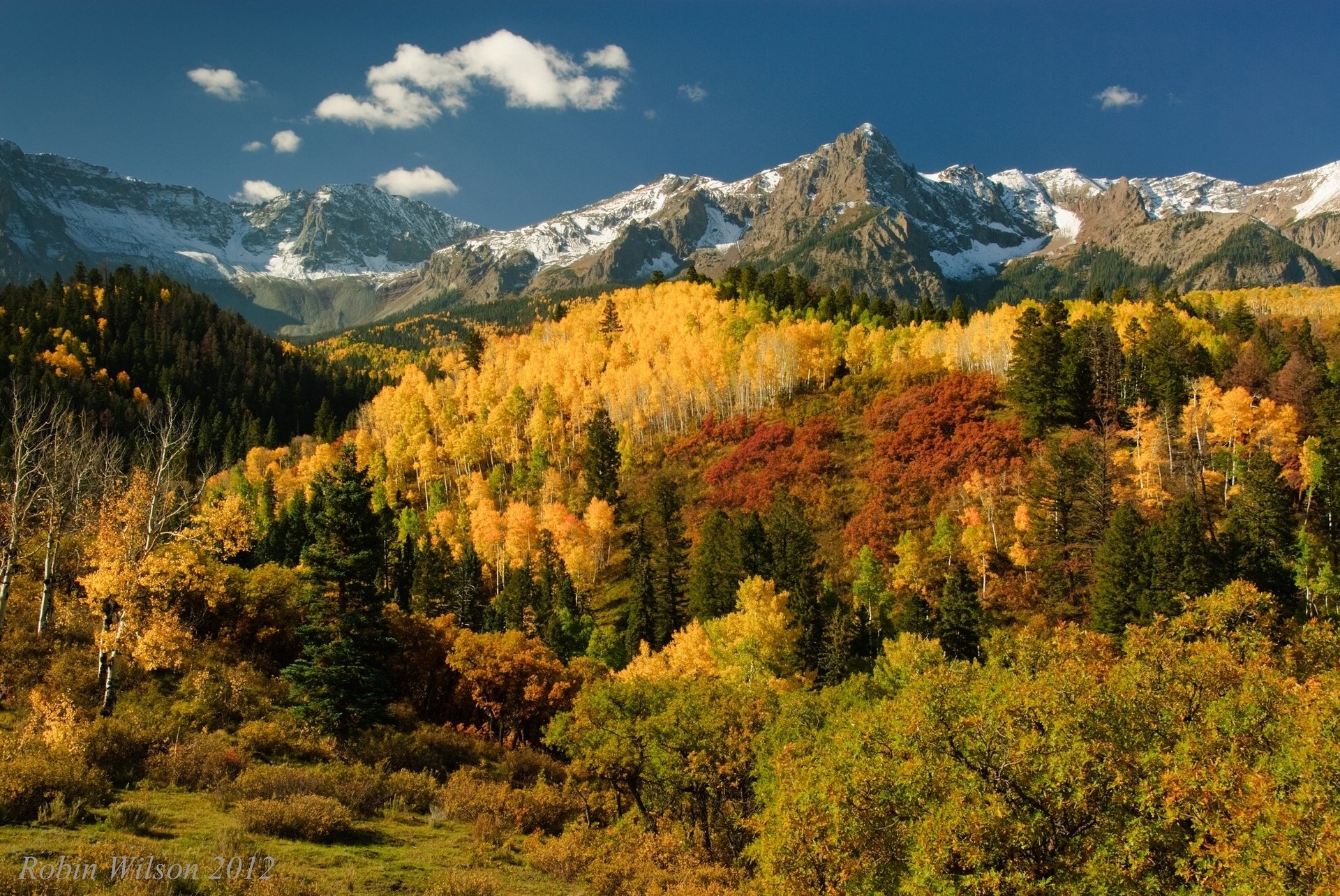 san juan mountains berge wald bäume herbst