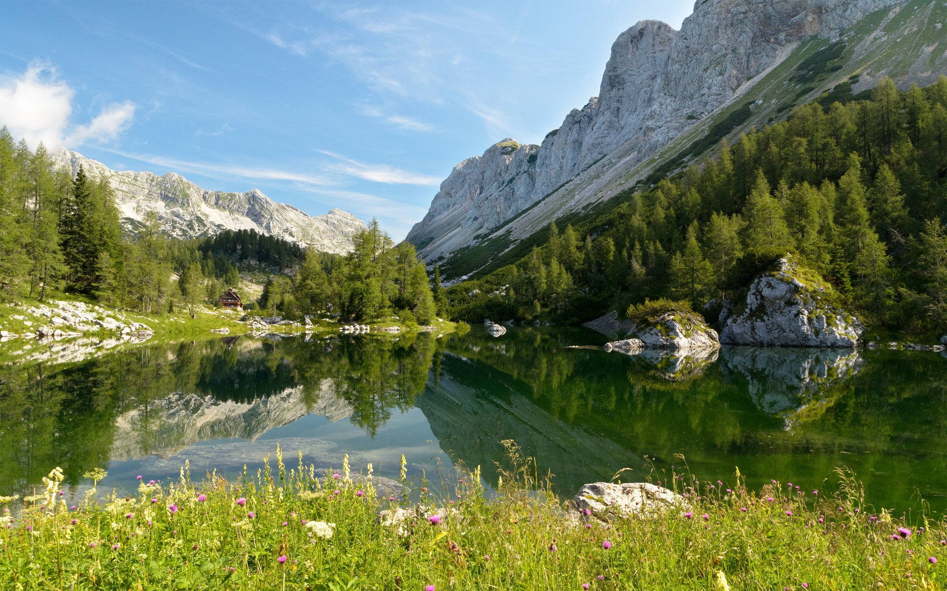 lovenia triglav national park bohinj lake republic of slovenija triglav national park lake bohinj