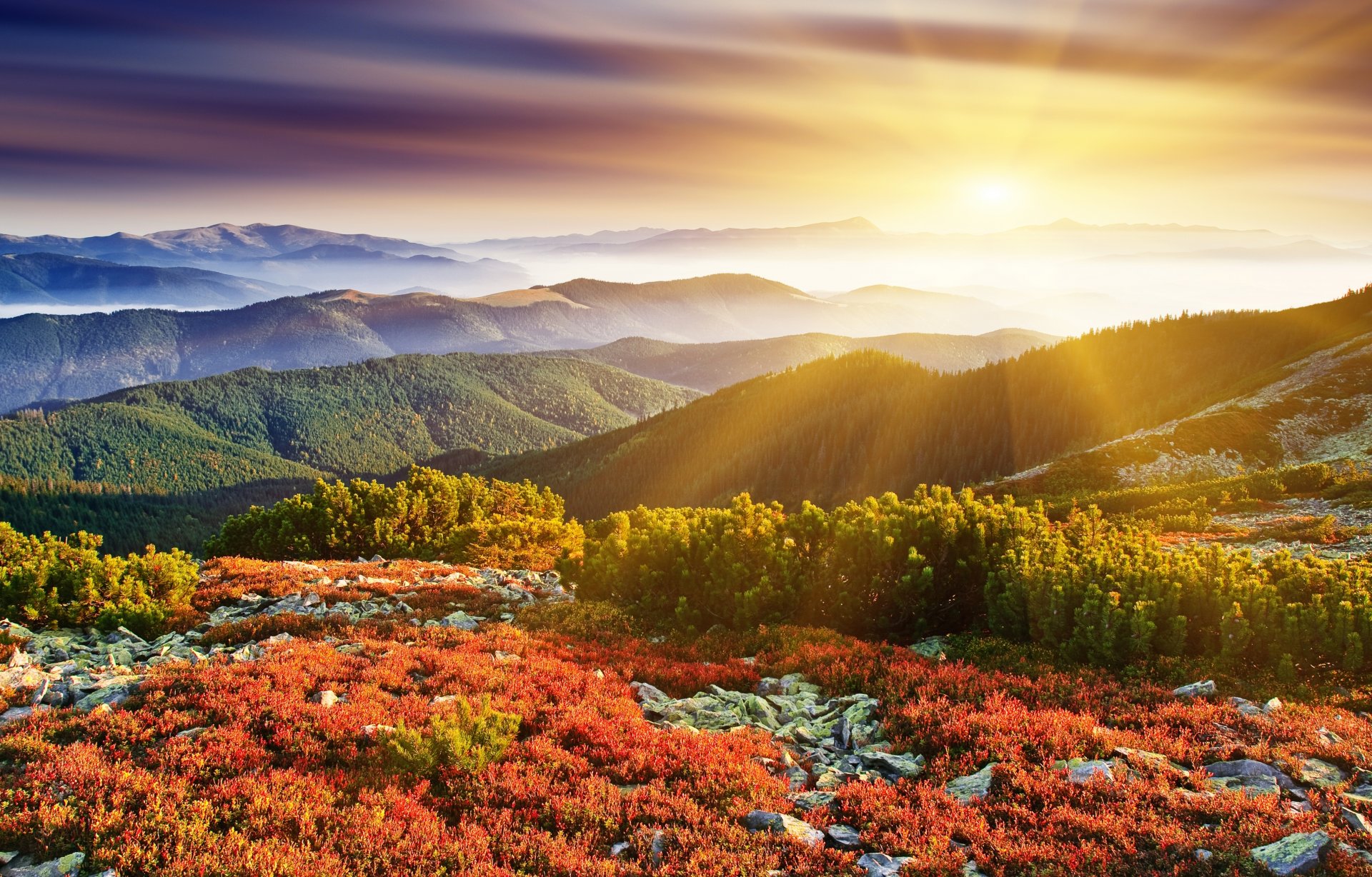 dawn hills sun rays nature tree grass land stone