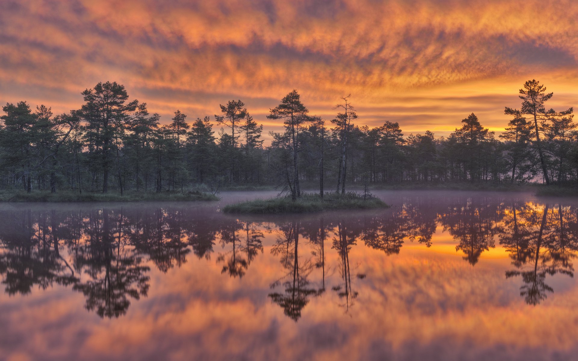 dawn knuthöjdsmossen wetland sweden lake tree reflection sunset