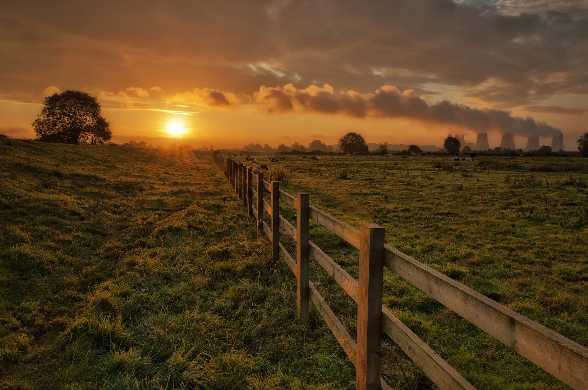 corral clôture clôture vaches herbe arbres soleil soirée coucher de soleil ciel nuages tuyaux fumée