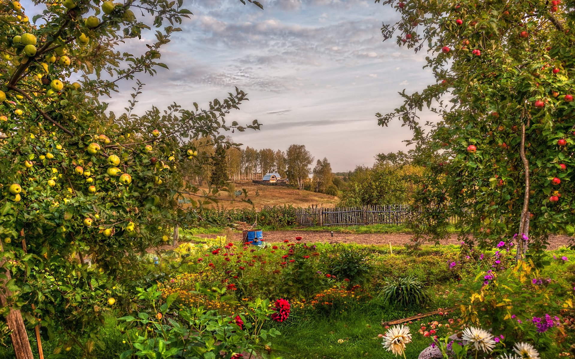 jardín verano paisaje