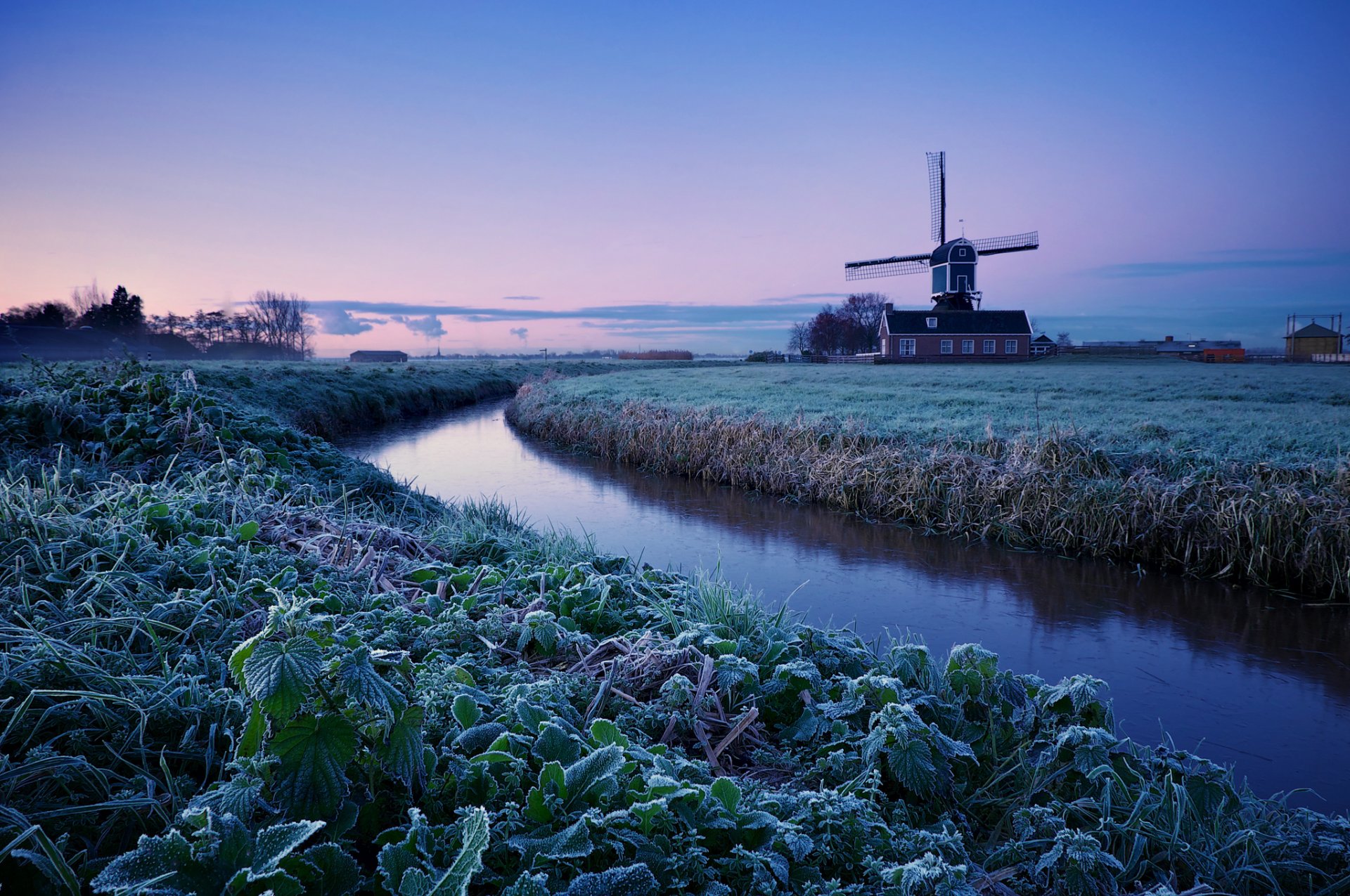 the netherlands winter morning dawn tree the field frost mill blue lilac sky