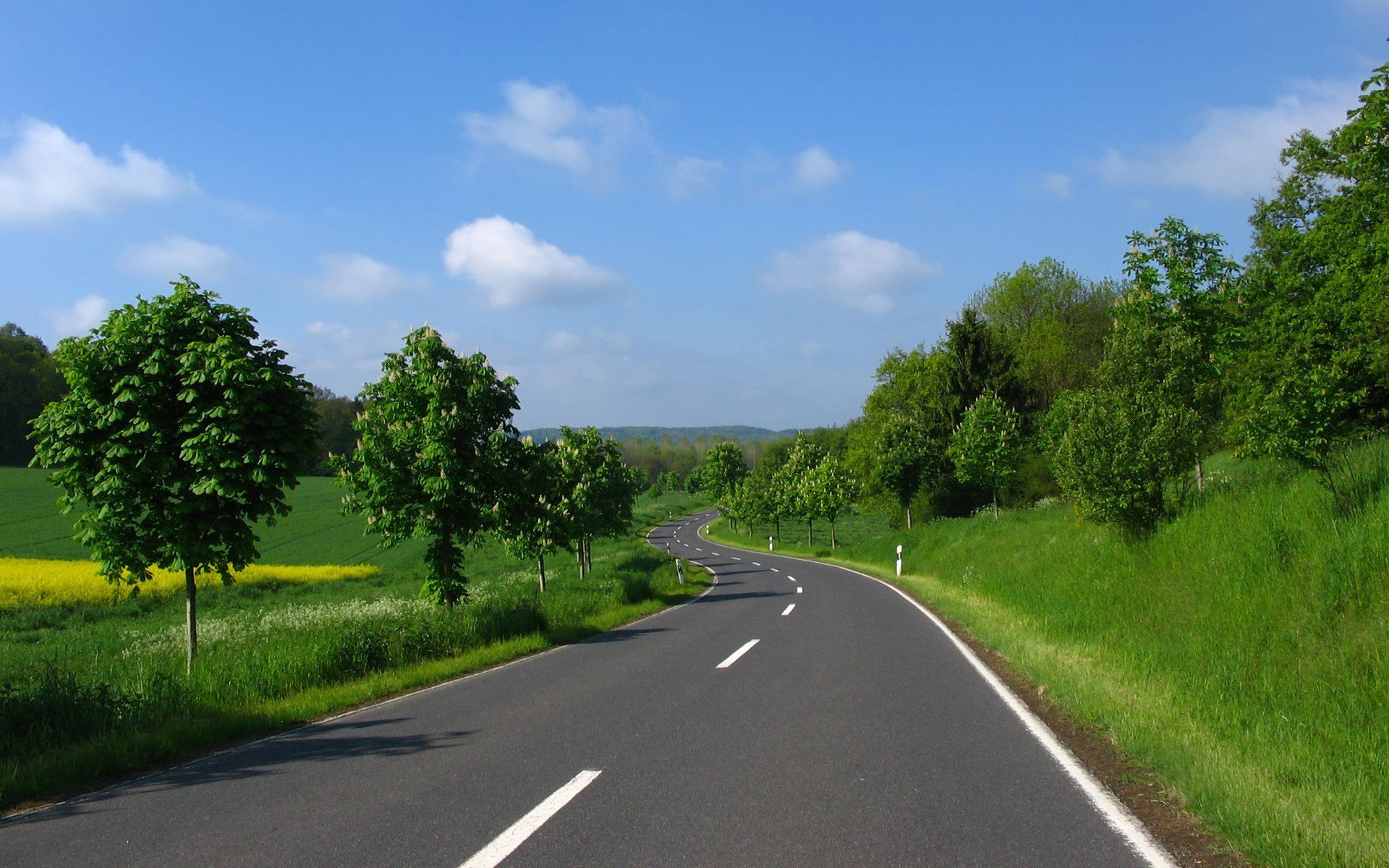 estate cielo nuvole verde alberi erba radura strada asfalto segnaletica orizzontale