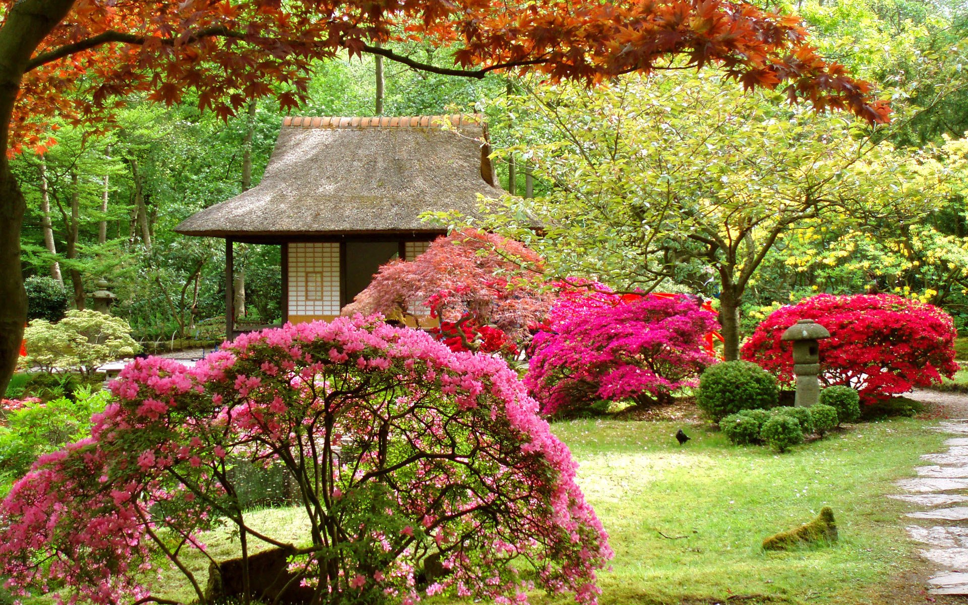 jardin japonais arbres maison paysage fleurs