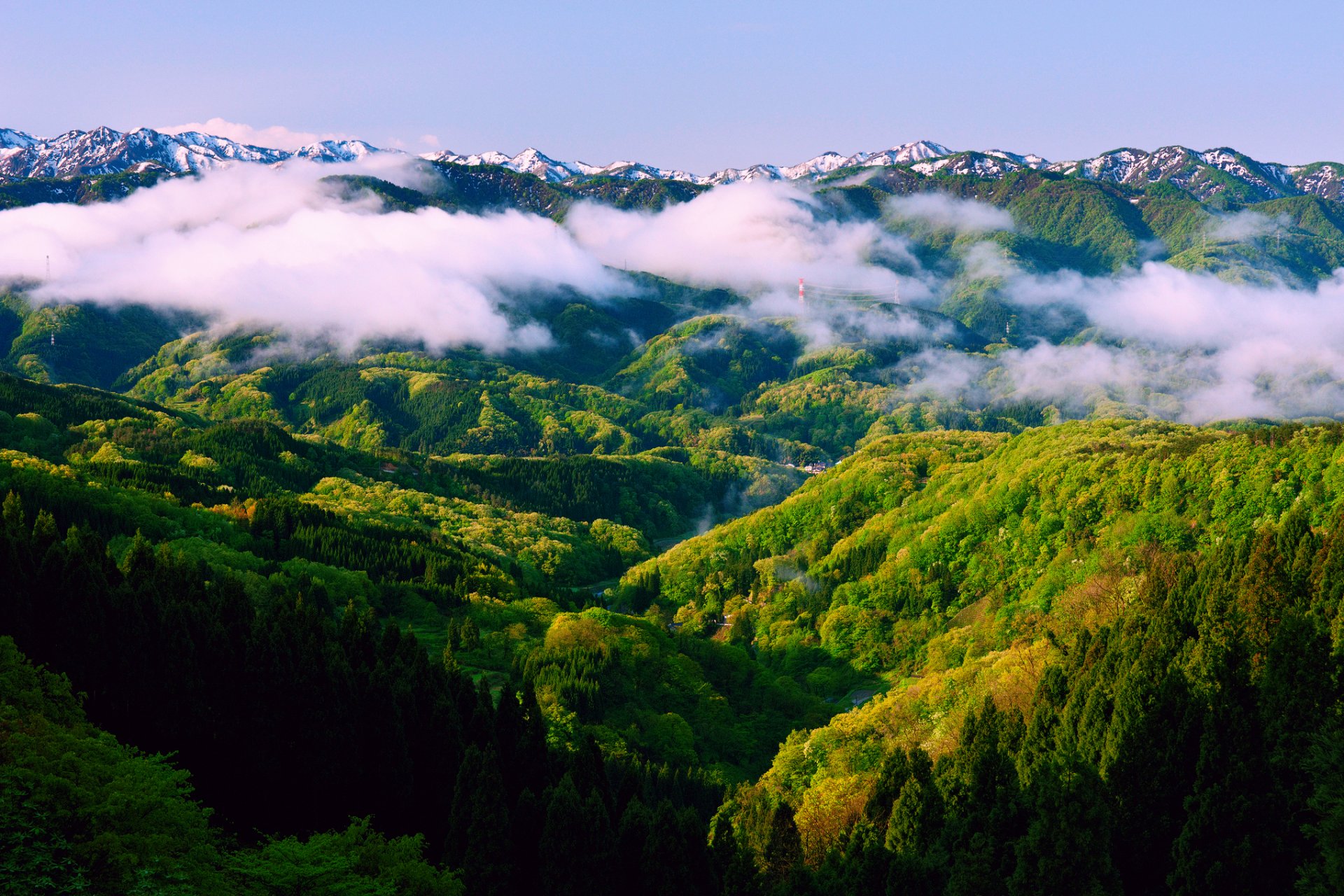 japón honshu ishikawa primavera mañana niebla montañas bosque cielo