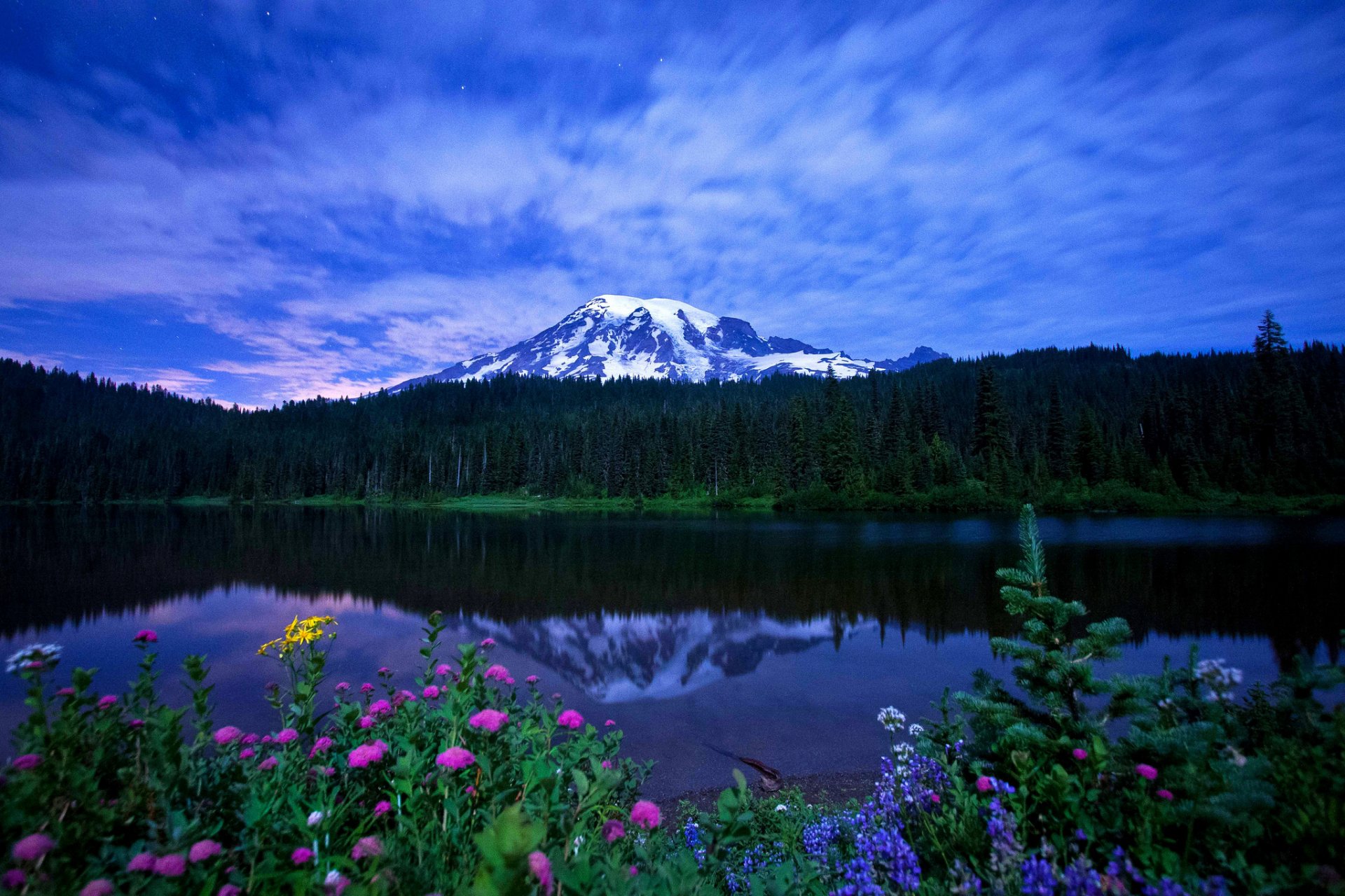 nature paysage montagnes lac fleurs herbe ciel nuages