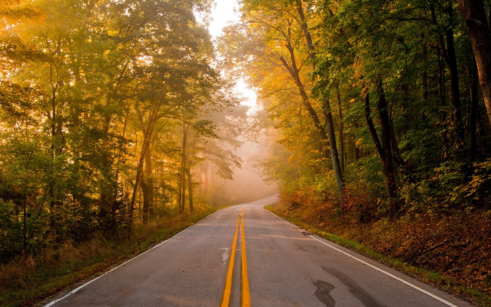 straße herbst landschaft