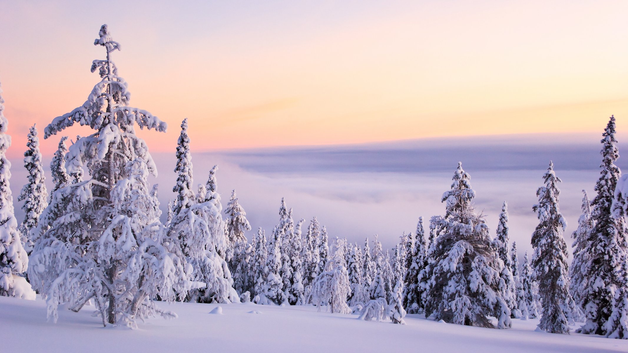 naturaleza invierno nieve montañas nubes heladas día árboles de navidad esponjoso blanco como la nieve silencio