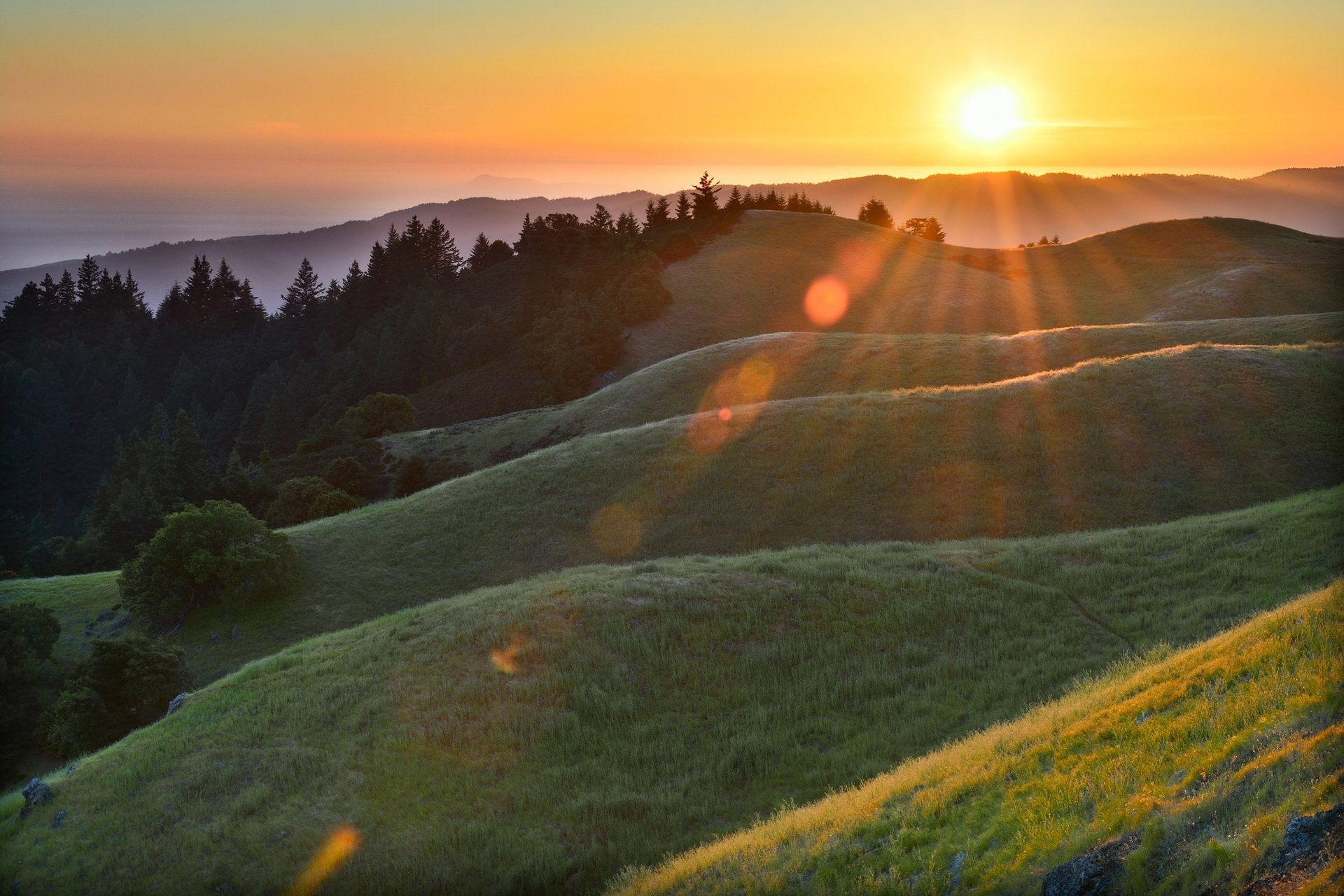 morgen sonne strahlen blendung wald hügel gras tau