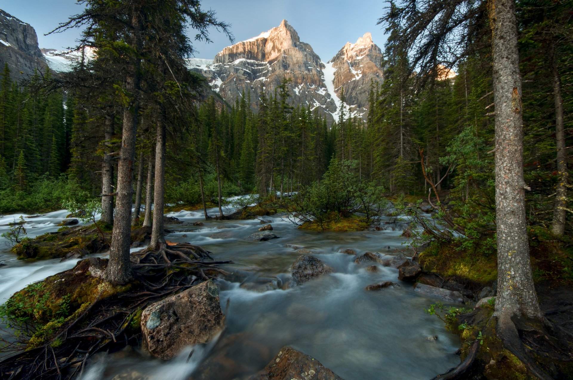 parco nazionale di banff canada fiume foresta alberi montagne