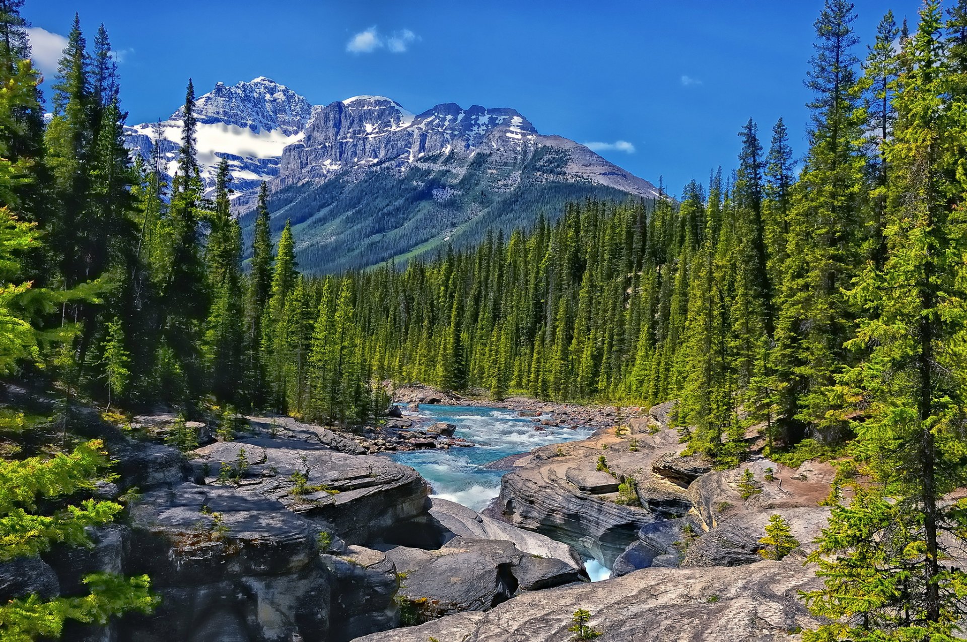 mistaya river alberta canadá río montañas bosque árboles rocas