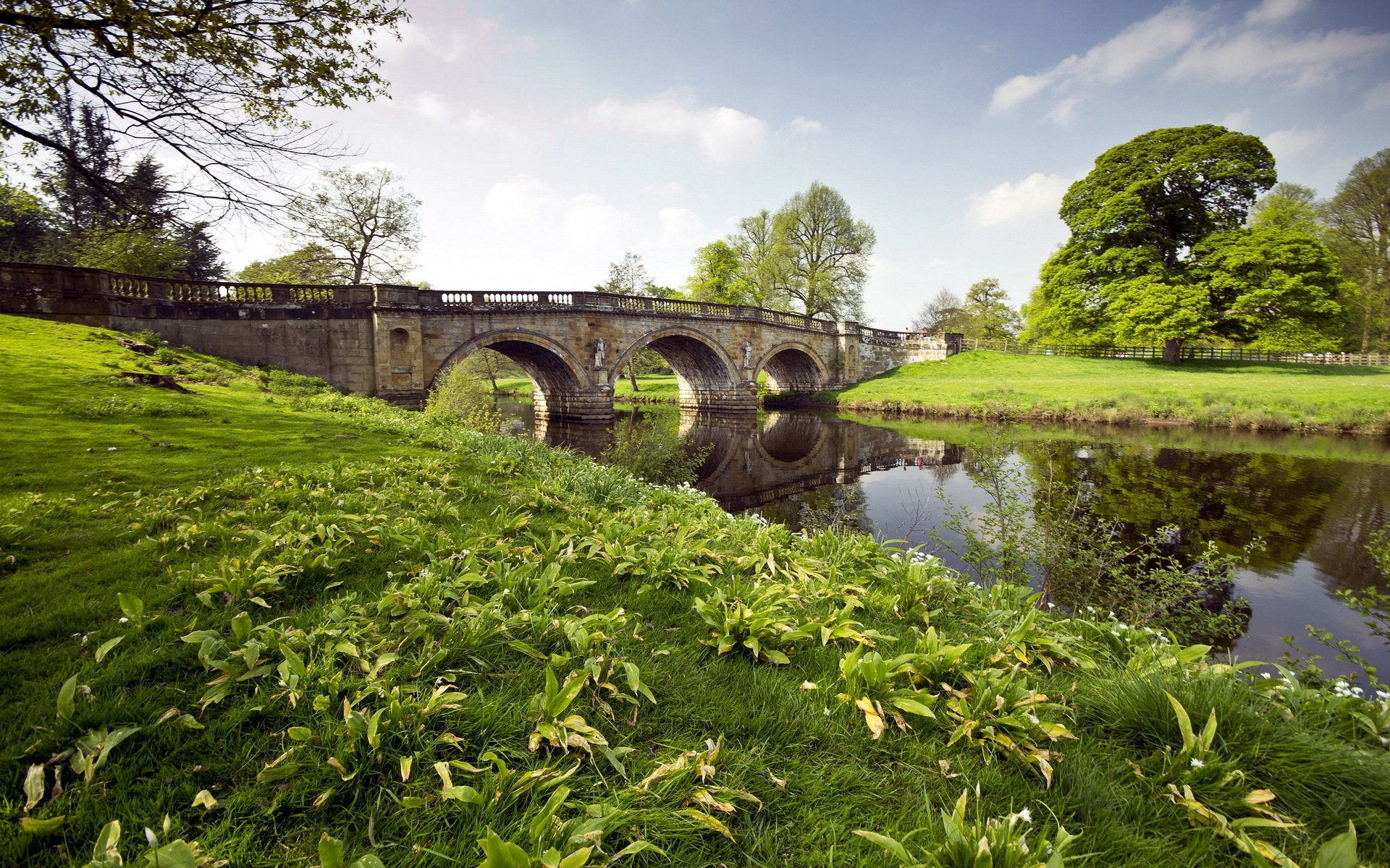 rivière pont herbe paysage