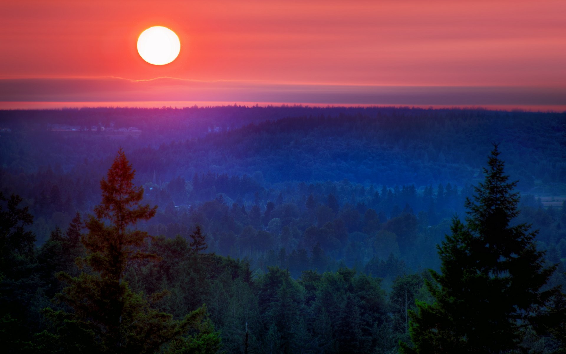 ночь луна гора лес пейзаж