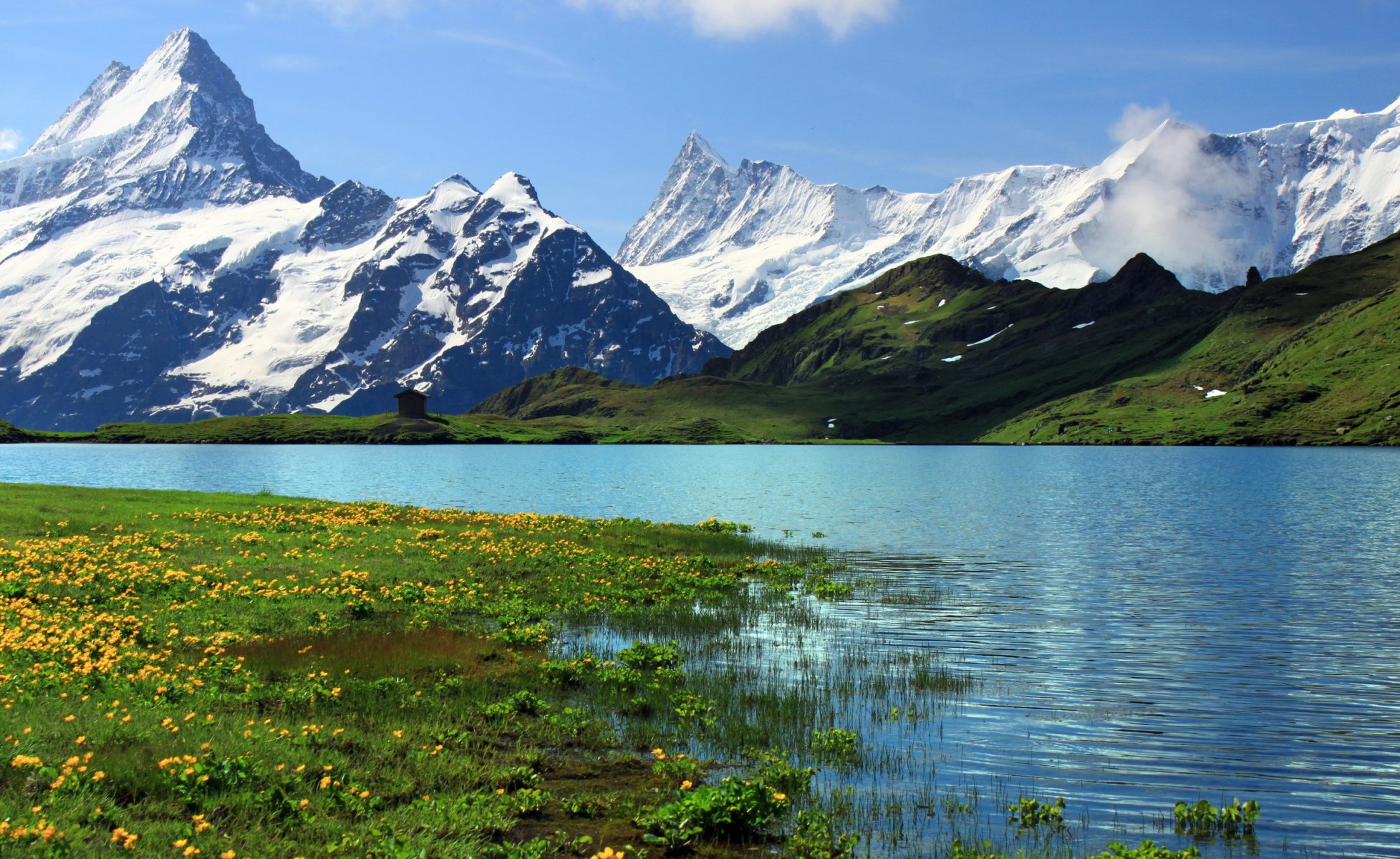 suiza berna grindelwalt grindnlwald montañas rocas nieve río hierba flores