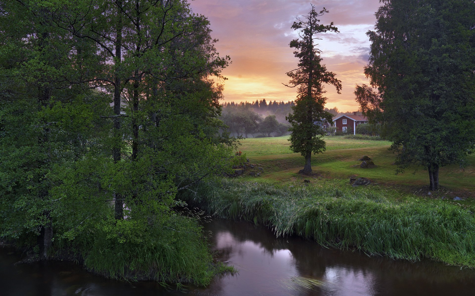 tockås närke suecia río árboles