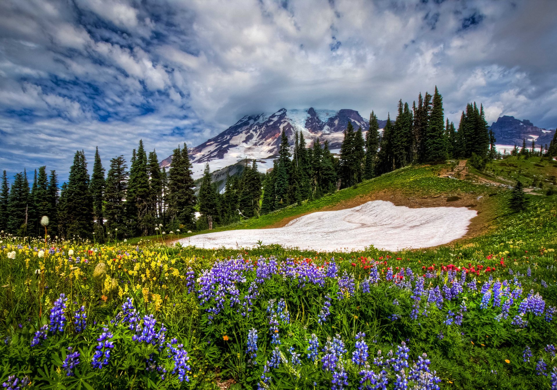 natura paesaggio montagne fiori cielo nuvole primavera erba