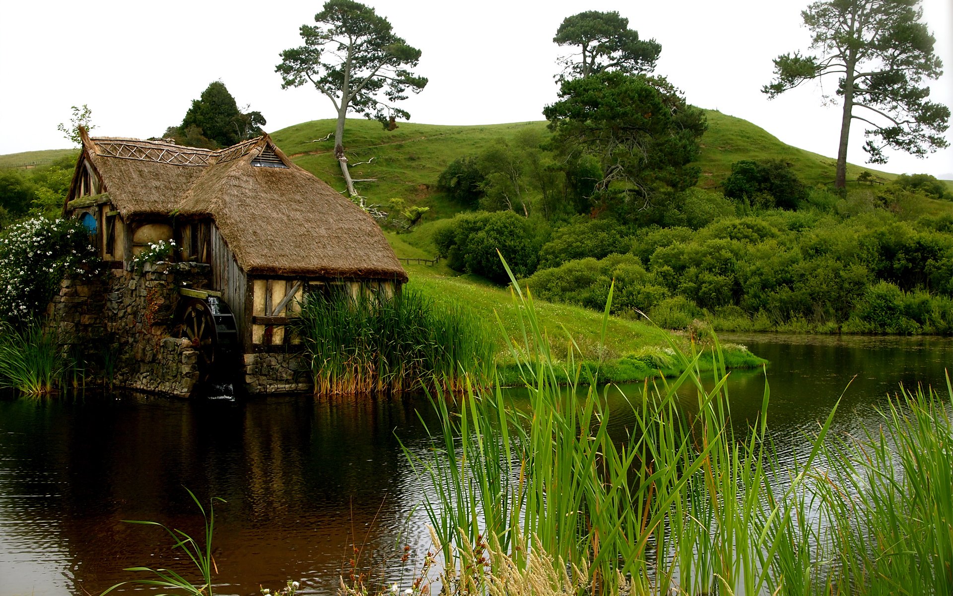 house mill pond water grass flower hill