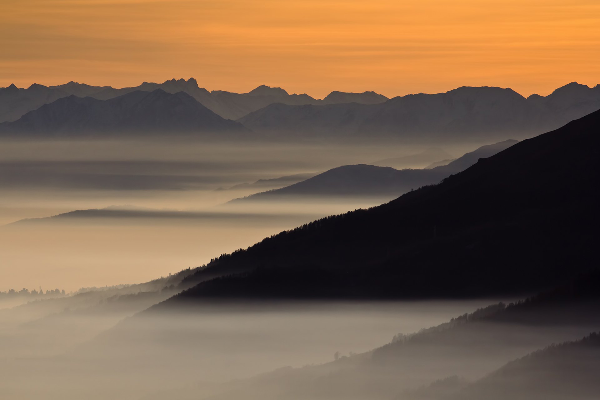 albaricoque mañana montañas niebla cielo