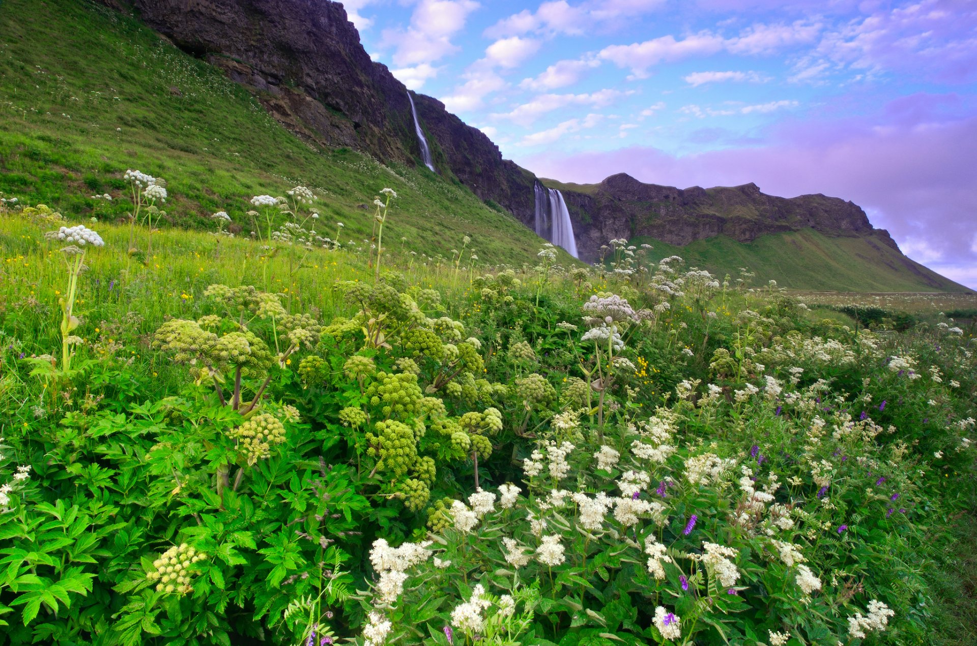 iceland morning mountain hills green grass flower waterfall blue lilac sky cloud