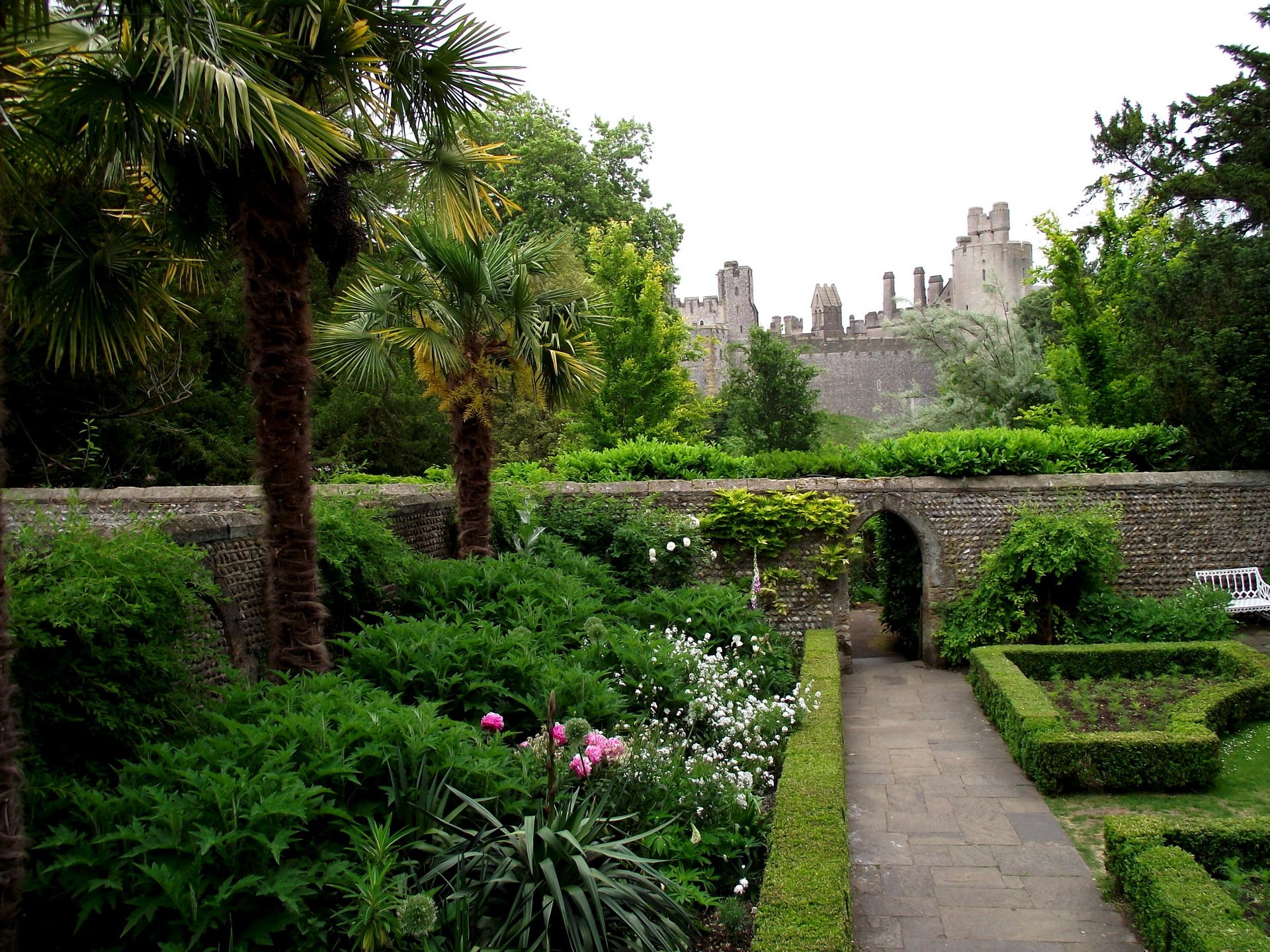 arundel castle rose gardens royaume-uni parc arbres château mur pierre fleurs palmiers