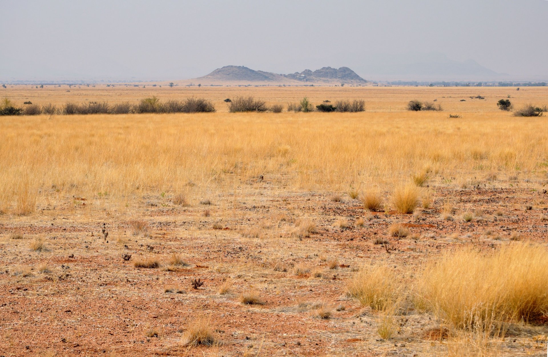 afrique afrique du sud namibie paysage désert savane