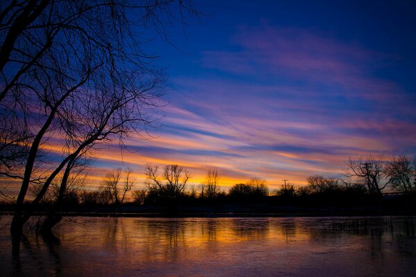 Silhouettes of trees on the lake against the incredible sky