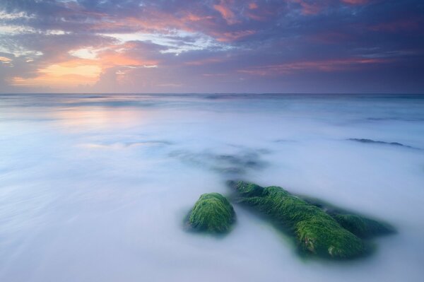 Calm sea with moss on the rocks