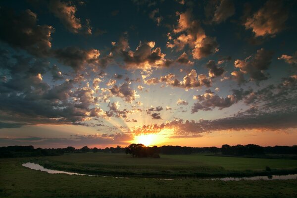 Beautiful sunset on the meadow