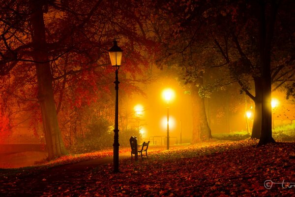 Night park with lanterns and a bench