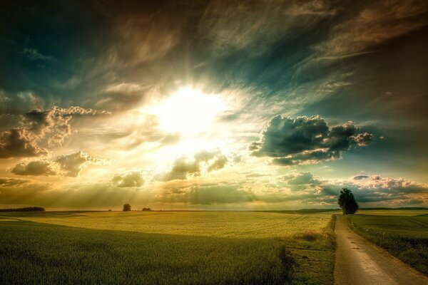 Schönes Bild der Dämmerung im Feld