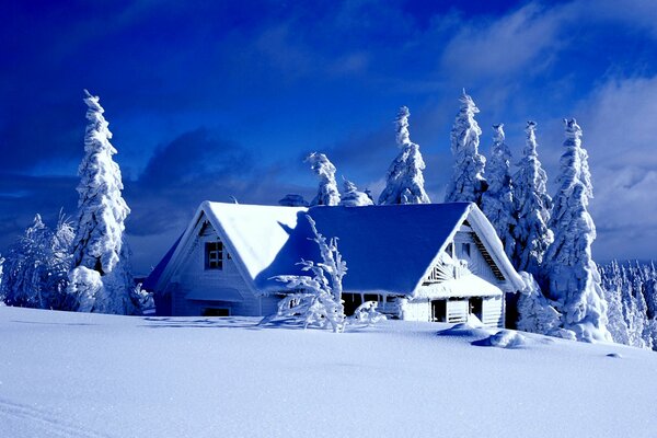 Casas cubiertas de nieve en las montañas de los abetos