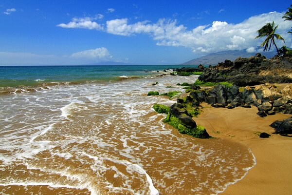 Plage propre avec de l eau bleue sur l île