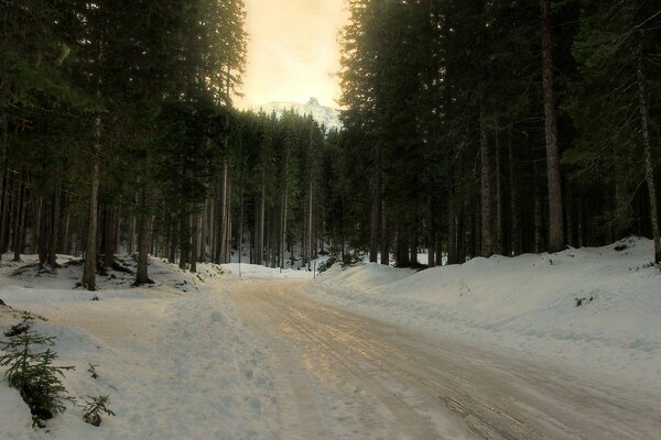 Route forestière d hiver le long de l épinette