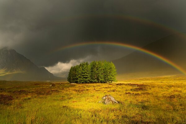 Arco iris en el cielo sombrío sobre el campo