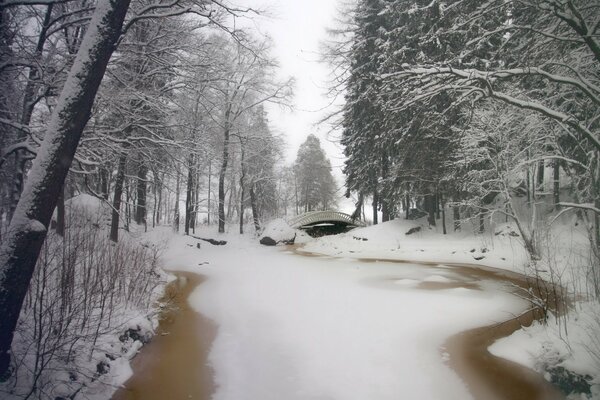 Parc en hiver. Avec le pont et les arbres