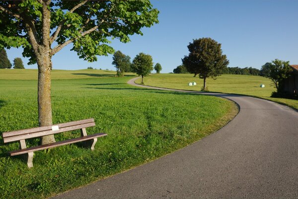 Parc ensoleillé vert et banc