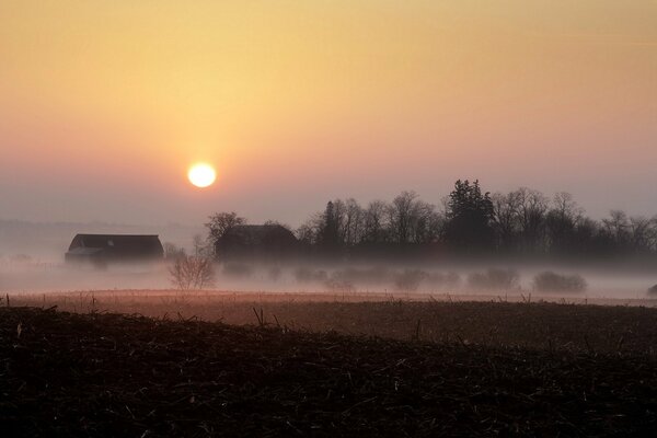 Fog on the field. Beautiful landscape at sunset