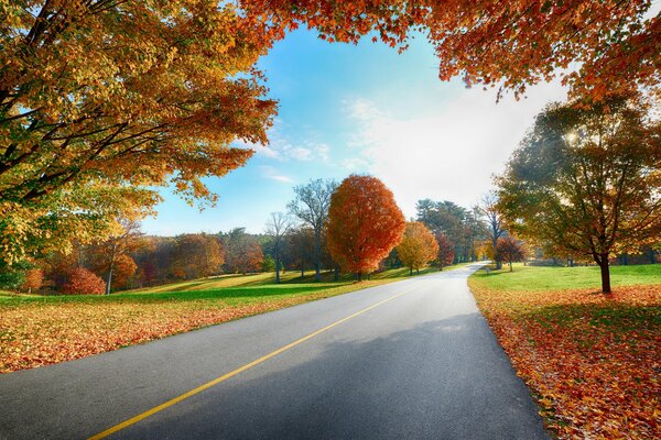 Helle Herbstlandschaft entlang der Straße