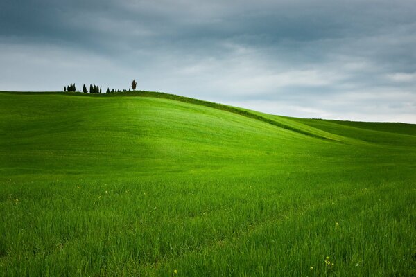 The expanse of the field under a cloudy sky