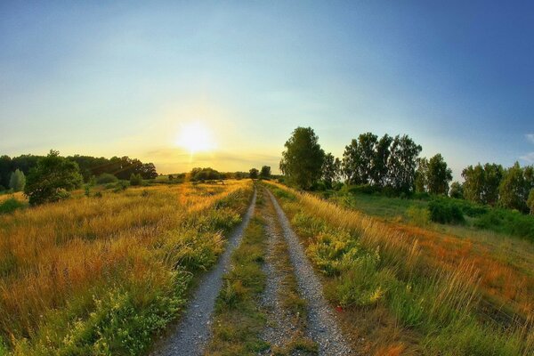 Camino rural en el campo al atardecer