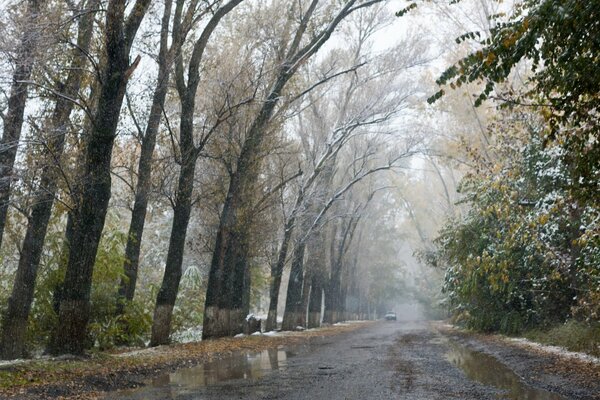 Slush on the autumn alley