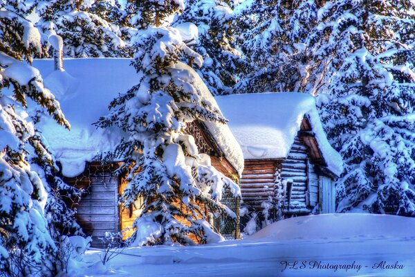 Ein Bild von einem verschneiten Wald mit einem Haus