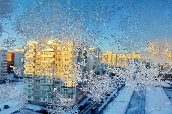 Frosty patterns on the window