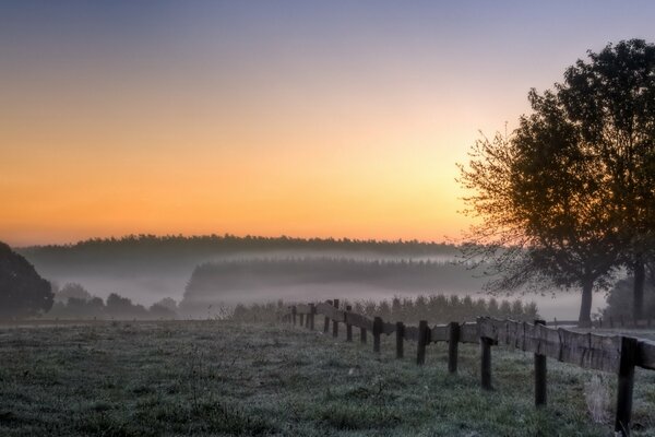 Nebligen Morgen auf dem Feld Landschaft